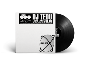 12″ DJ TEDU – SKIP PROOF SCRATCH TOOL VOL.1 (BLACK)